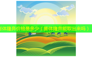 膨体隆鼻价格是多少（膨体隆鼻能取出来吗）