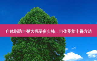 自体脂肪丰臀大概要多少钱，自体脂肪丰臀 *** 