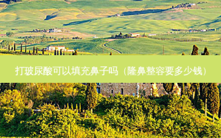打玻尿酸可以填充鼻子吗（隆鼻整容要多少钱）