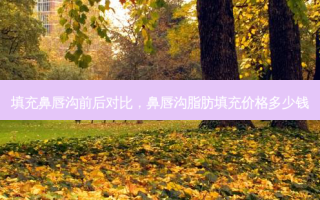 填充鼻唇沟前后对比，鼻唇沟脂肪填充价格多少钱