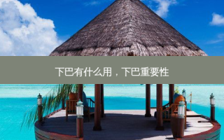 下巴有什么用，下巴重要性