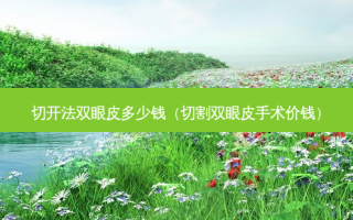切开法双眼皮多少钱（切割双眼皮手术价钱）
