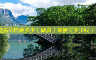 隆鼻价格是多少（做鼻子便宜多少钱）
