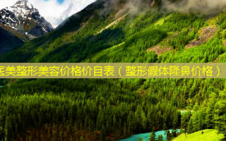 医美整形美容价格价目表（整形假体隆鼻价格）
