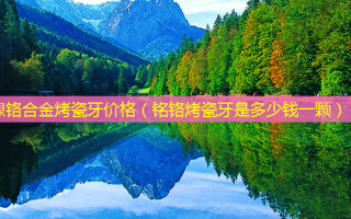 镍铬合金烤瓷牙价格（铭铬烤瓷牙是多少钱一颗）