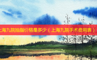 上海九院抽脂价格是多少（上海九院手术费用表）