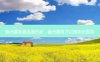 扬州哪里植发做的好，扬州哪里可以植发的医院
