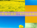 郑州鱼尾纹医院（如何祛鱼尾纹）