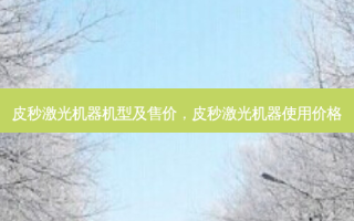 皮秒激光机器机型及售价，皮秒激光机器使用价格