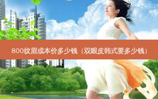 800纹眉成本价多少钱（双眼皮韩式要多少钱）