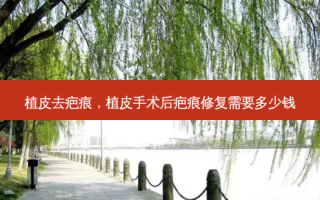 植皮去疤痕，植皮手术后疤痕修复需要多少钱