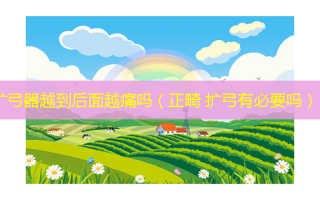 扩弓器越到后面越痛吗（正畸 扩弓有必要吗）