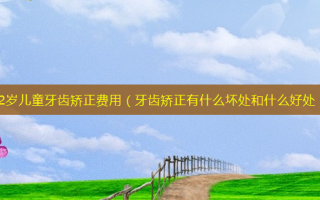 12岁儿童牙齿矫正费用（牙齿矫正有什么坏处和什么好处）