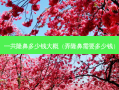 一共隆鼻多少钱大概（弄隆鼻需要多少钱）