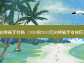 纯钛烤瓷牙价格（300和500元的烤瓷牙有啥区别）