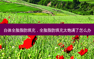 自体全脸脂肪填充，全脸脂肪填充太饱满了怎么办