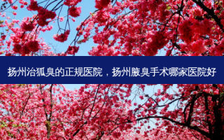 扬州治狐臭的正规医院，扬州腋臭手术哪家医院好