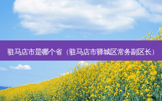 驻马店市是哪个省（驻马店市驿城区常务副区长）