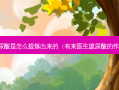 玻尿酸是怎么提炼出来的（有来医生玻尿酸的作用）