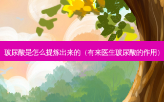 玻尿酸是怎么提炼出来的（有来医生玻尿酸的作用）