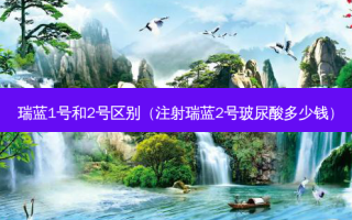 瑞蓝1号和2号区别（注射瑞蓝2号玻尿酸多少钱）