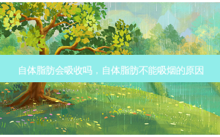 自体脂肪会吸收吗，自体脂肪不能吸烟的原因