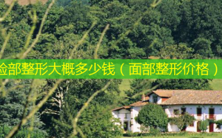 脸部整形大概多少钱（面部整形价格）