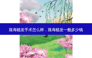珠海植发手术怎么样，珠海植发一般多少钱