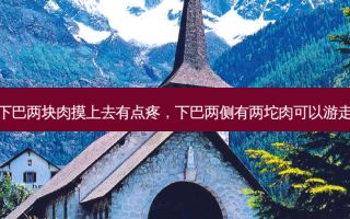 下巴两块肉摸上去有点疼，下巴两侧有两坨肉可以游走