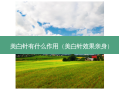 美白针有什么作用（美白针效果亲身）