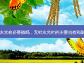 无针水光有必要做吗，无针水光针的主要功效和副作用