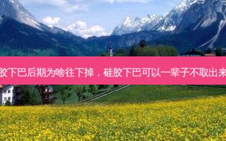硅胶下巴后期为啥往下掉，硅胶下巴可以一辈子不取出来吗