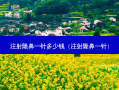 注射隆鼻一针多少钱（注射隆鼻一针）