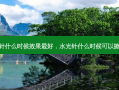 水光针什么时候效果 *** ，水光针什么时候可以擦水乳