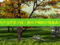 皮肤光子多少钱（做光子嫩肤价格是多少）