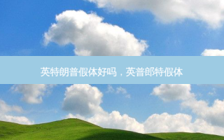 英特朗普假体好吗，英普郎特假体