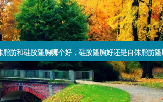 自体脂肪和硅胶隆胸哪个好，硅胶隆胸好还是自体脂肪隆胸好