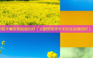 提眉术哪家医院做的好（去眼袋是动手术好还是微创好）