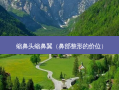 缩鼻头缩鼻翼（鼻部整形的价位）