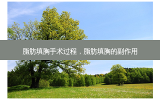 脂肪填胸手术过程，脂肪填胸的副作用