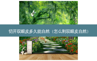 切开双眼皮多久能自然（怎么割双眼皮自然）