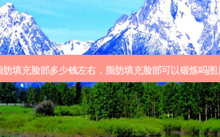 脂肪填充脸部多少钱左右，脂肪填充脸部可以锻炼吗图片