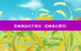 驼峰鼻如何不整容（驼峰鼻的费用）