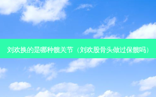 刘欢换的是哪种髋关节（刘欢股骨头做过保髋吗）