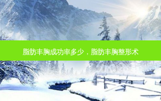 脂肪丰胸成功率多少，脂肪丰胸整形术