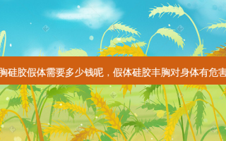 丰胸硅胶假体需要多少钱呢，假体硅胶丰胸对身体有危害吗