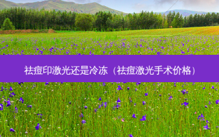 祛痘印激光还是冷冻（祛痘激光手术价格）