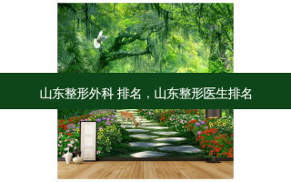 山东整形外科 排名，山东整形医生排名