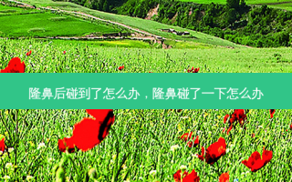 隆鼻后碰到了怎么办，隆鼻碰了一下怎么办