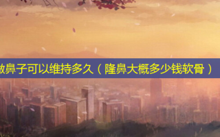 做鼻子可以维持多久（隆鼻大概多少钱软骨）